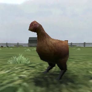 Crazy Chicken 3D